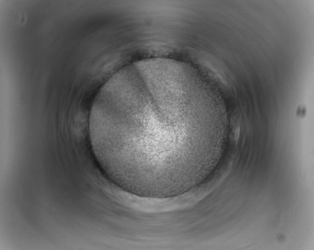 X0000100950034200807081229