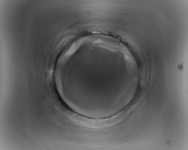 X0000100950035200807081229