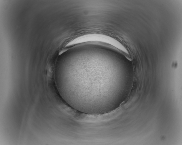 X0000100950037200807081229