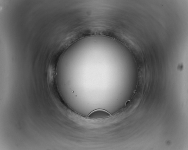 X0000100950038200807081228