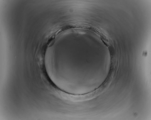 X0000100950039200807081228