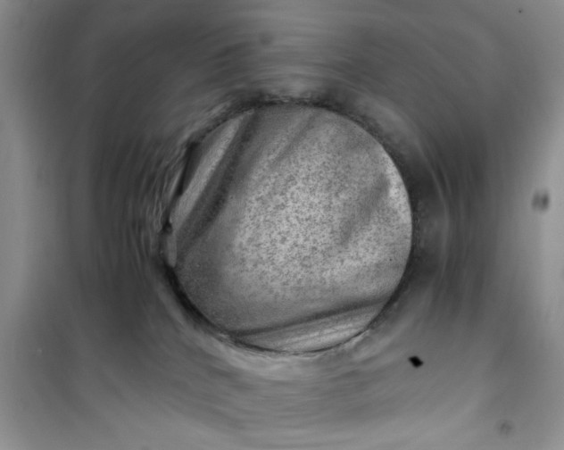 X0000100950040200807081228