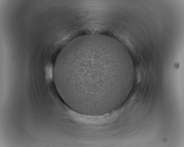 X0000100950042200807081228