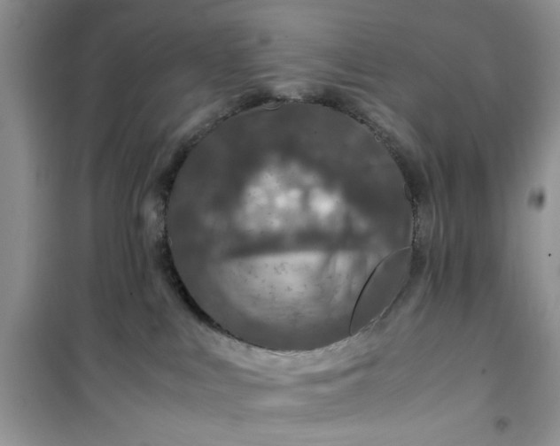 X0000100950043200807081228