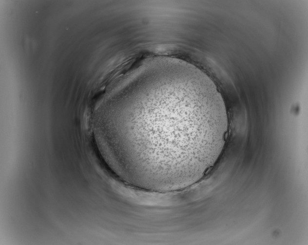 X0000100950044200807081228