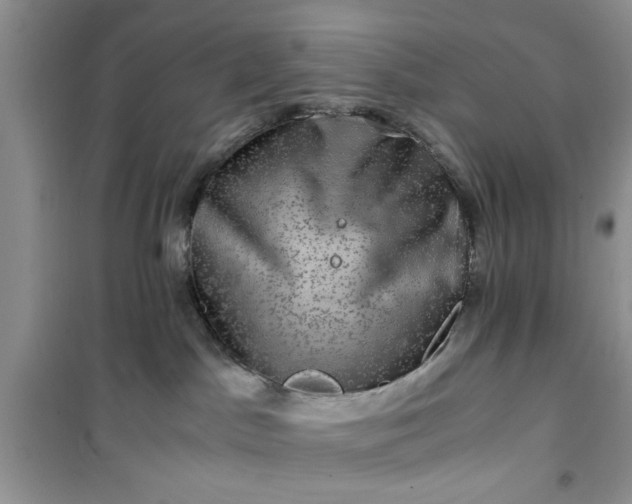 X0000100950045200807081228