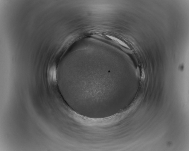 X0000100950046200807081228