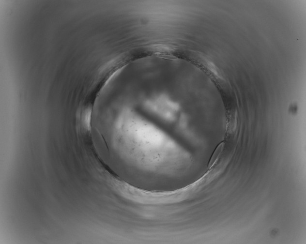 X0000100950047200807081228