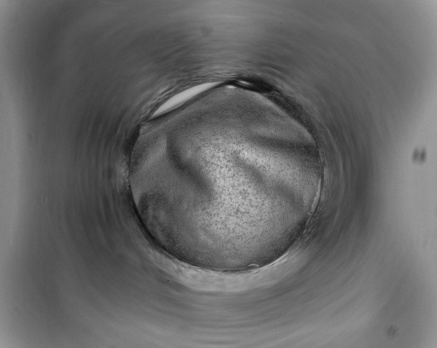 X0000100950048200807081228