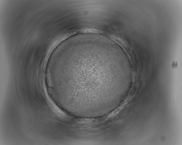 X0000100950049200807081228