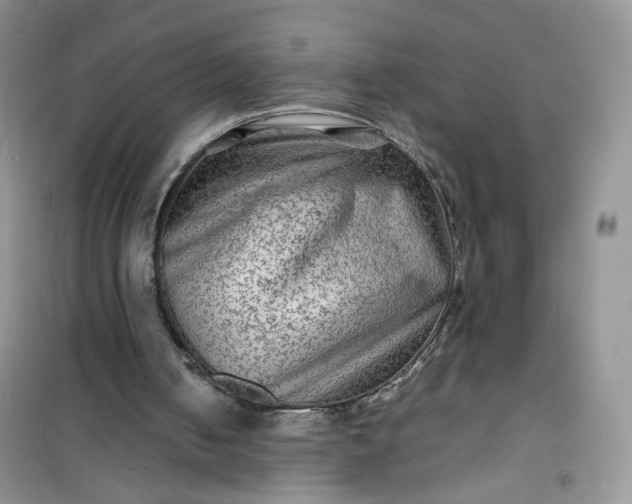 X0000100950050200807081228