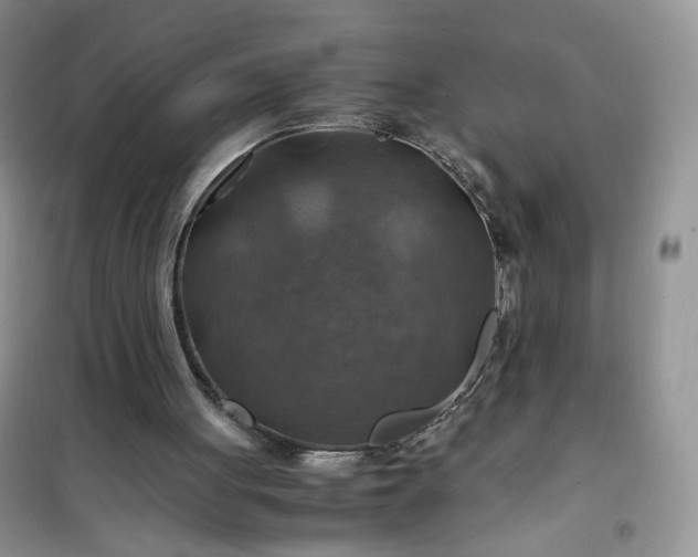 X0000100950051200807081228