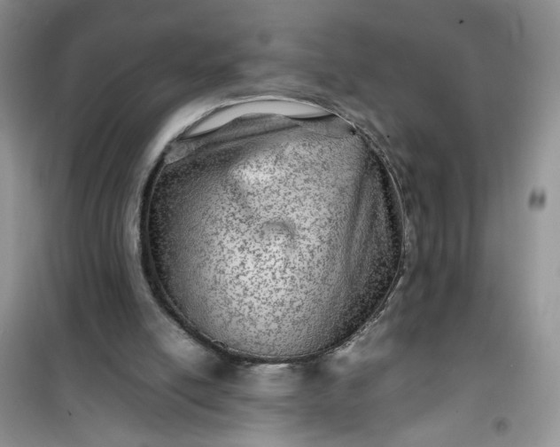 X0000100950054200807081228