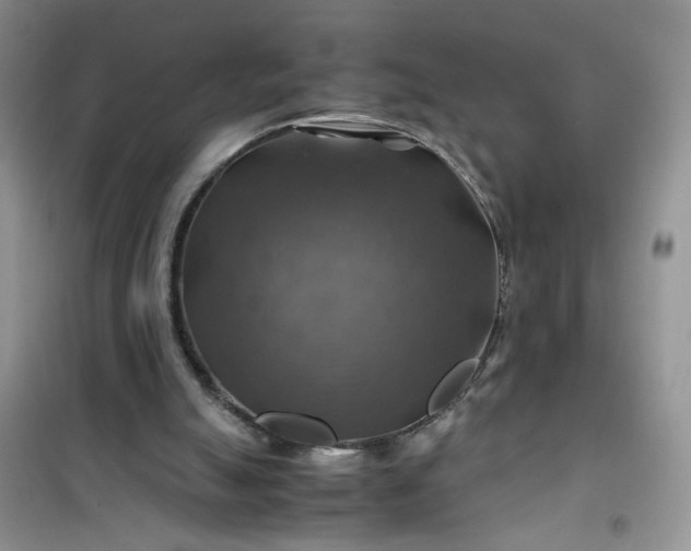 X0000100950055200807081228