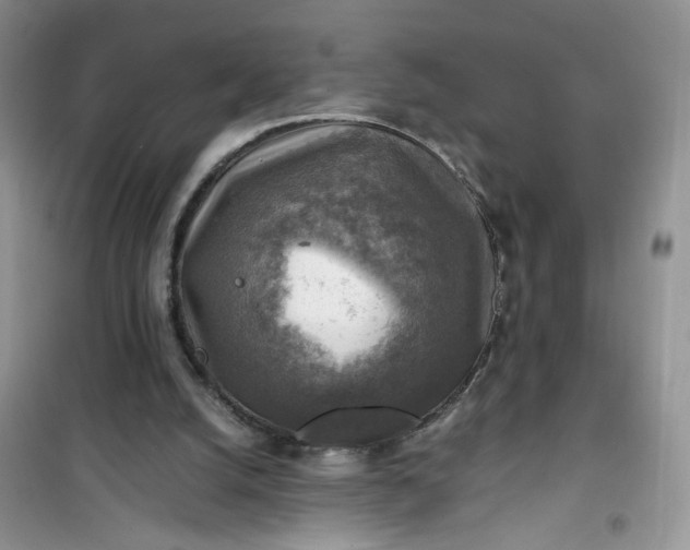 X0000100950056200807081228