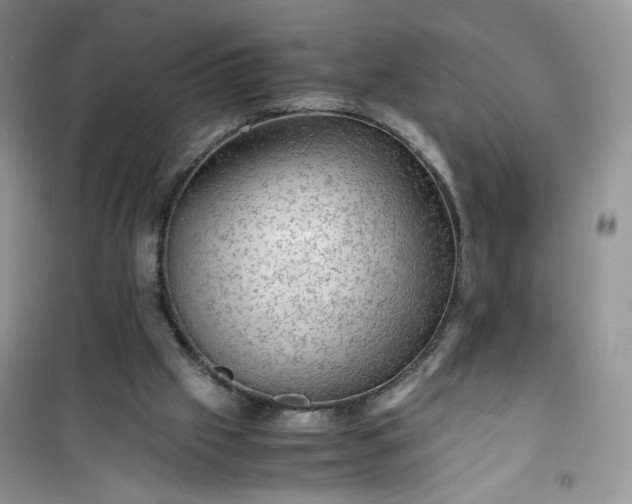 X0000100950057200807081228