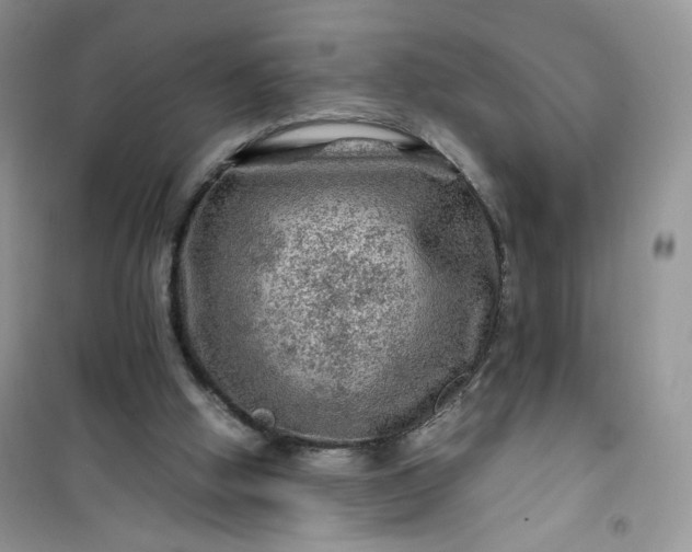 X0000100950058200807081228