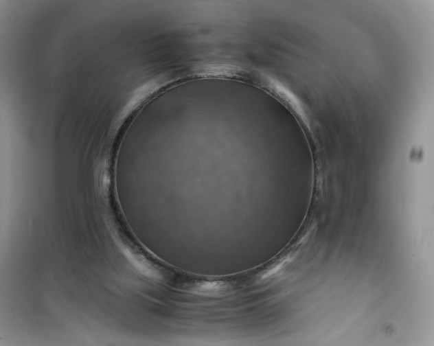 X0000100950059200807081228