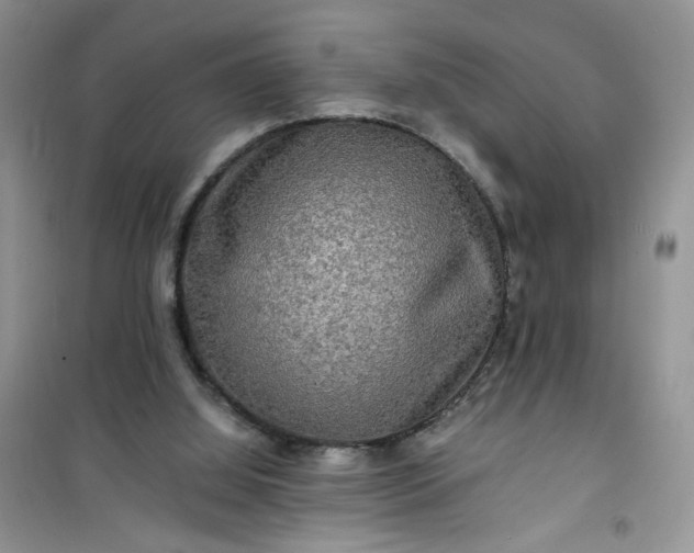 X0000100950060200807081228