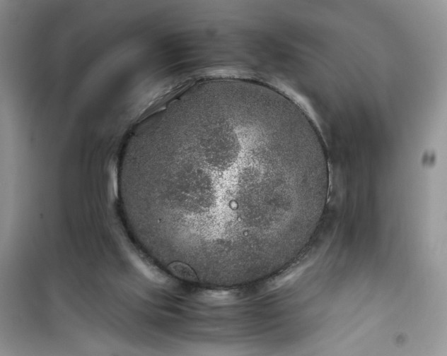 X0000100950061200807081228