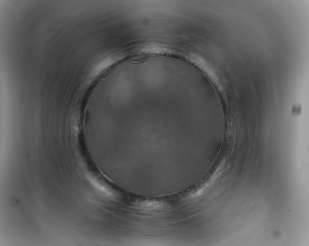 X0000100950063200807081228