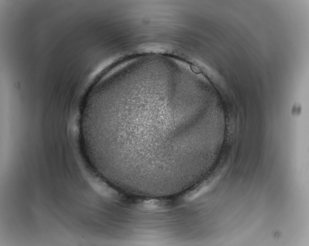 X0000100950064200807081228