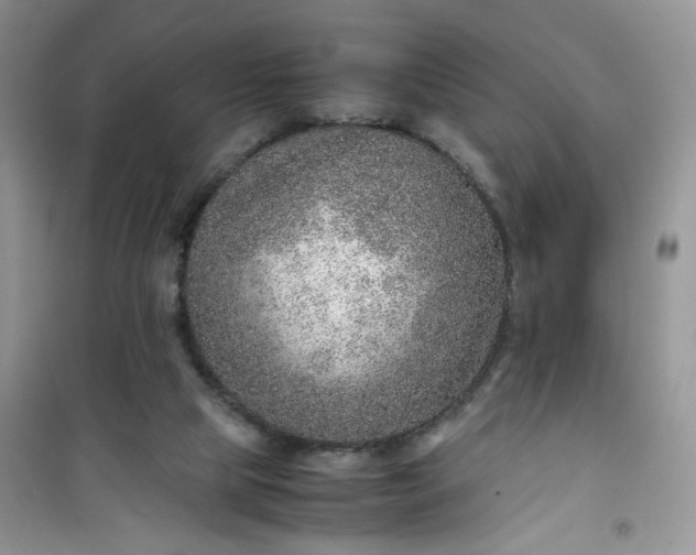 X0000100950065200807081228