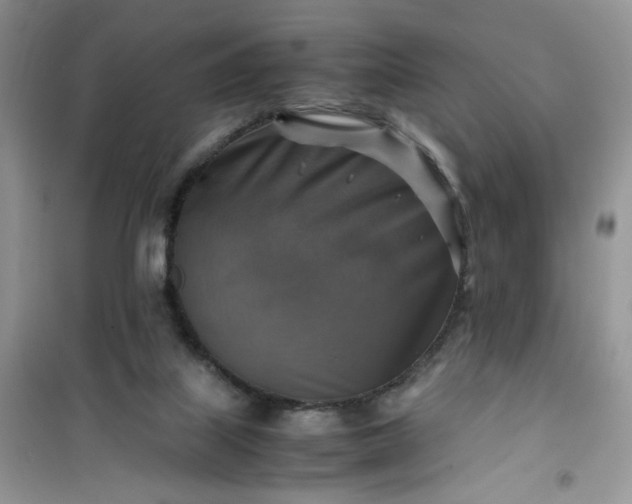 X0000100950067200807081228