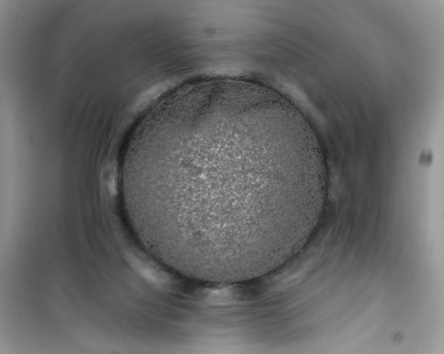 X0000100950068200807081228