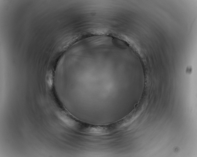 X0000100950069200807081228