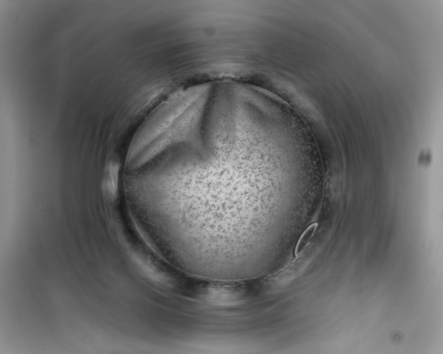 X0000100950070200807081228