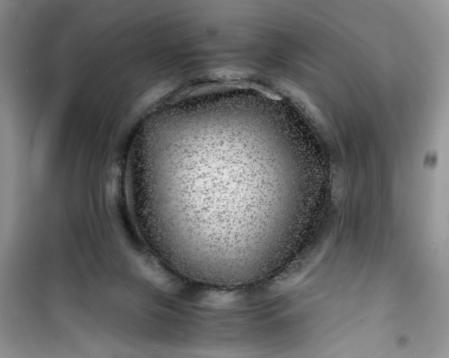 X0000100950071200807081228