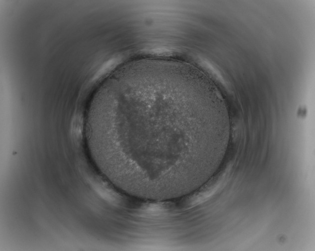 X0000100950072200807081228