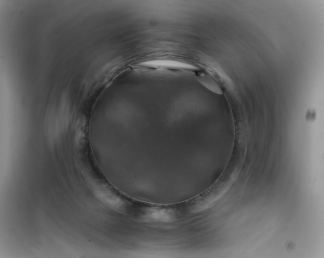 X0000100950073200807081228