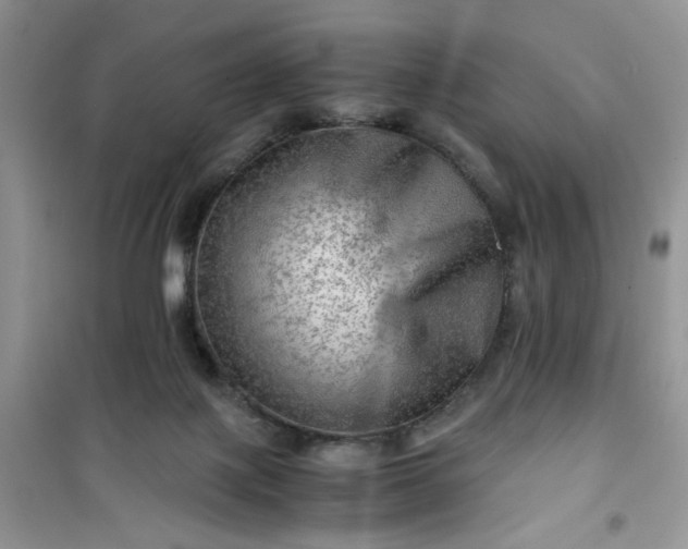 X0000100950075200807081228