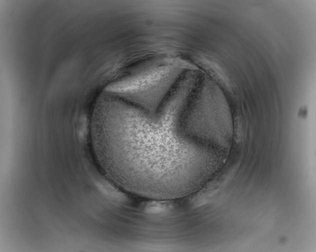 X0000100950077200807081228