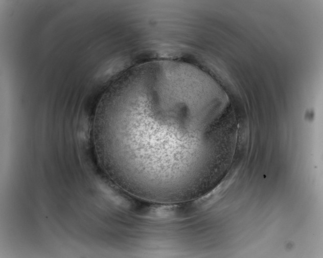 X0000100950078200807081228