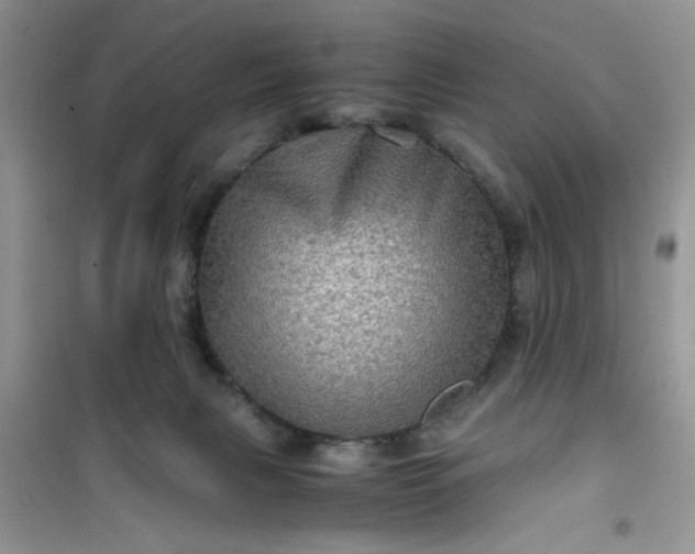 X0000100950079200807081228