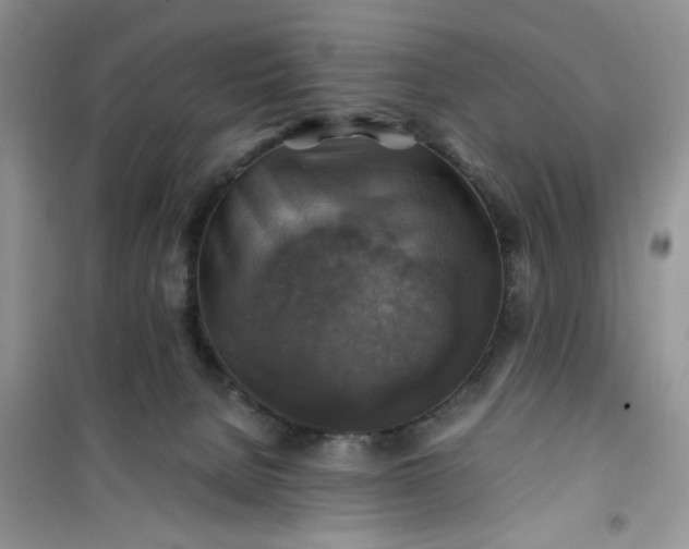 X0000100950080200807081228