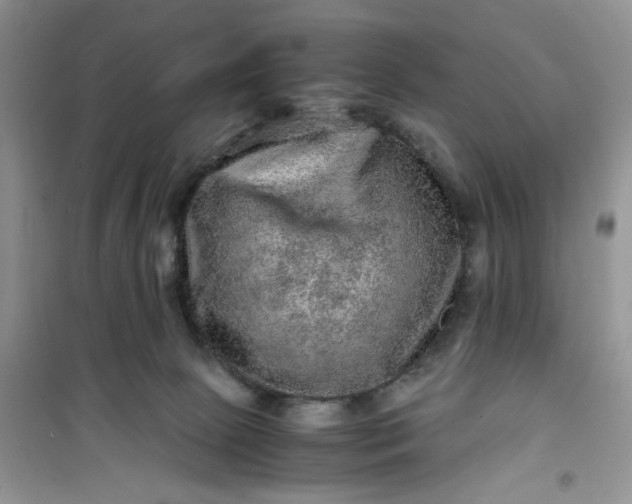 X0000100950081200807081228