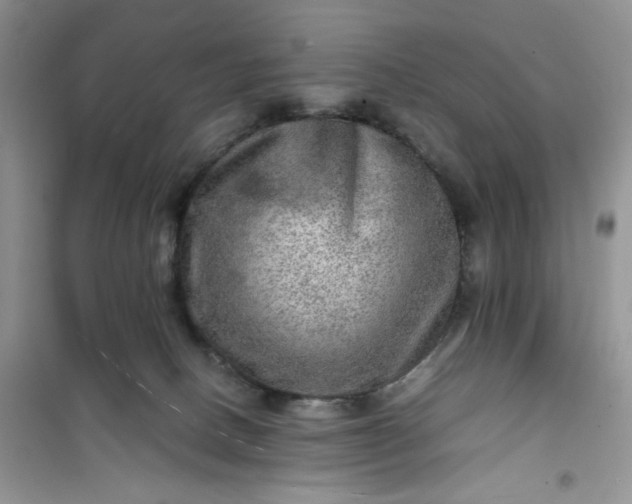 X0000100950082200807081228