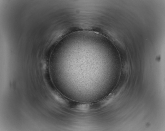 X0000100950084200807081228