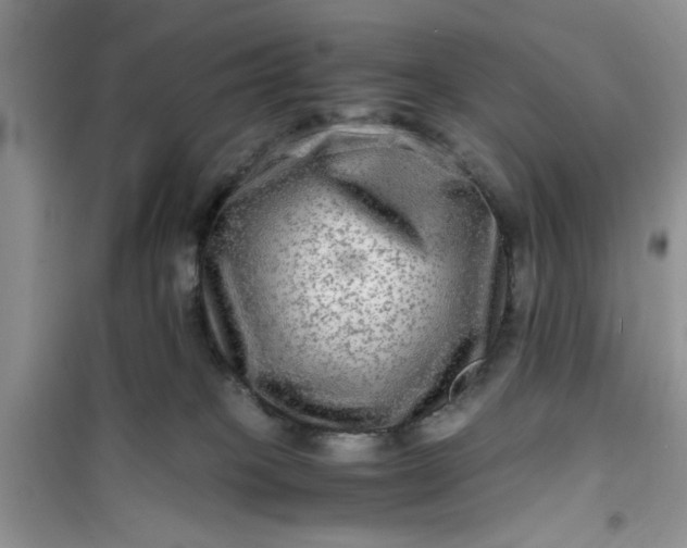 X0000100950085200807081228