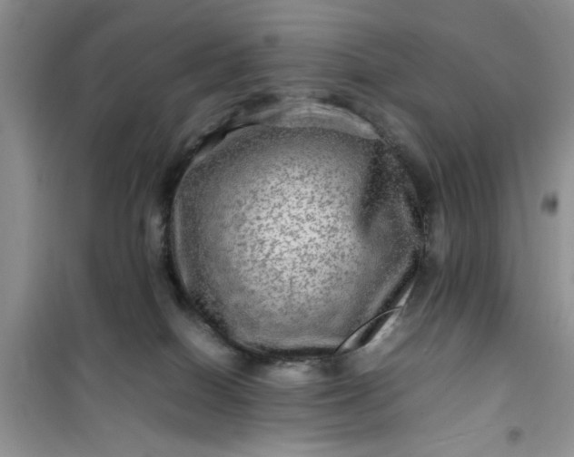 X0000100950086200807081228