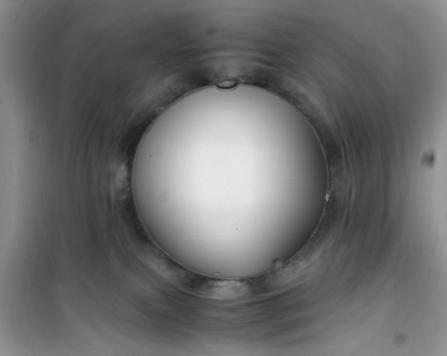 X0000100950087200807081228