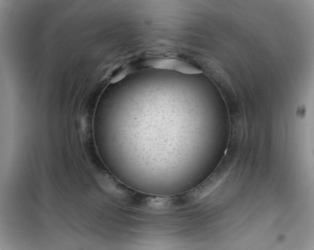 X0000100950088200807081228