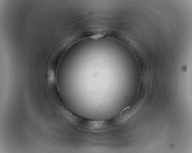 X0000100950089200807081228