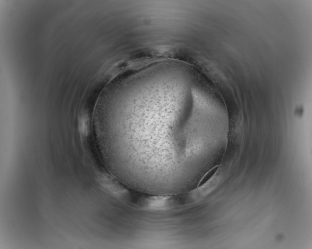 X0000100950090200807081228