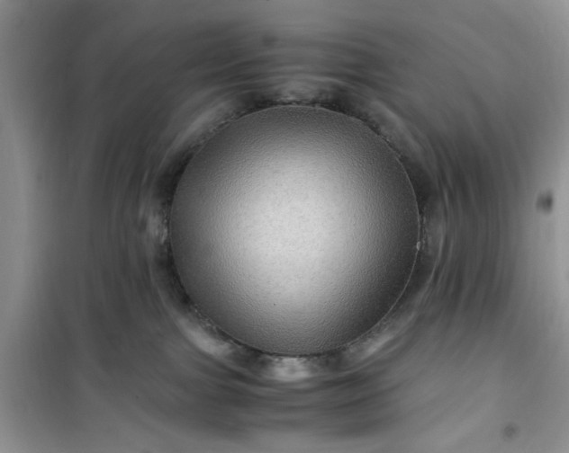 X0000100950091200807081228