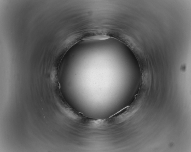 X0000100950092200807081228